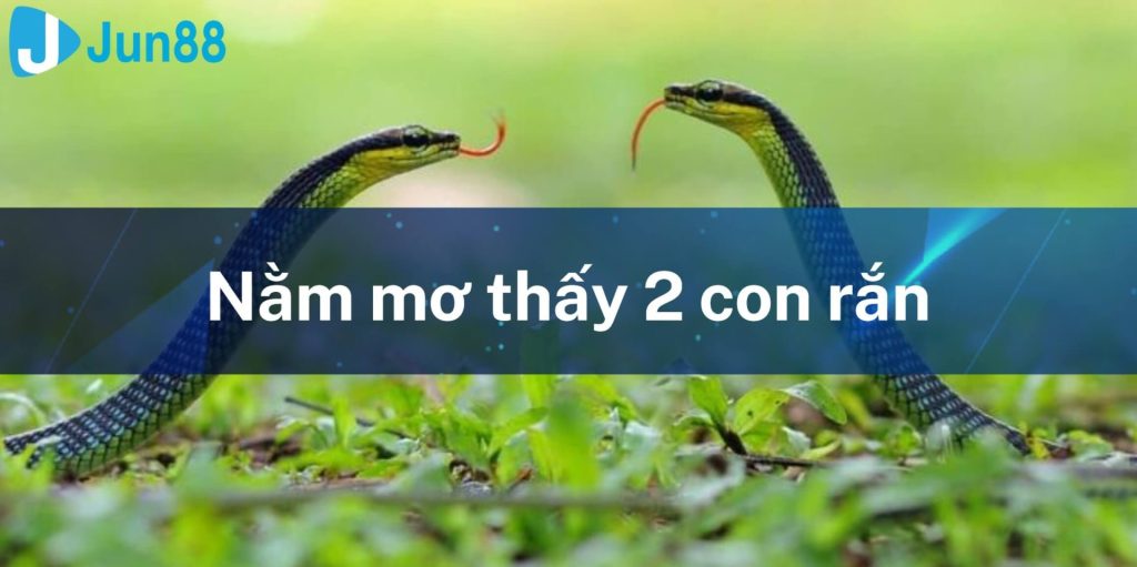 Nằm Mơ Thấy 2 Con Rắn